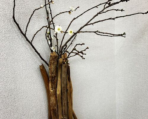 14C85CF6-5F02-4F7D-AF42-920D66E441E5